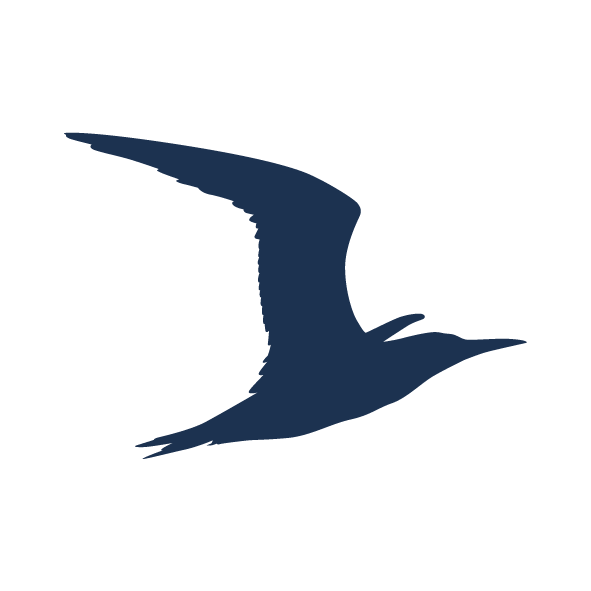 icon of our logo shore to sea