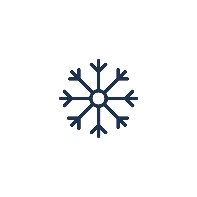 icon of a frozen flake