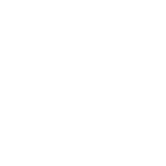 icon of fist up