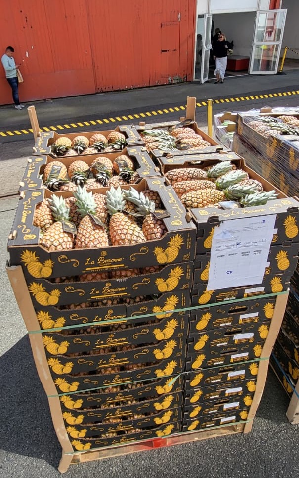 picture of a fruits delivery on dock