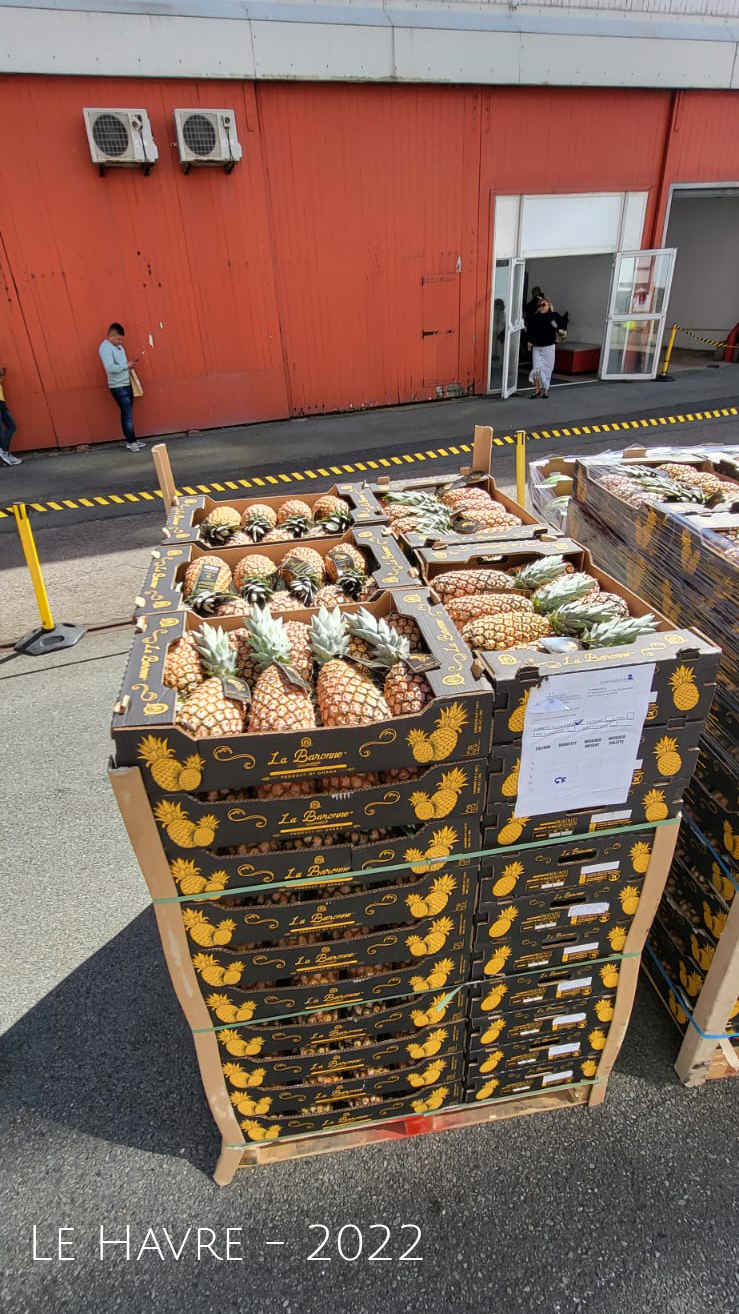 picture of a palet delivered to a dry sock ship